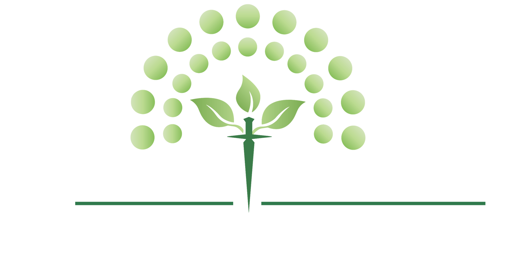 The Lint Surgeon LLC Logo, with text " Dryer vent cleaning, repairs and installations"