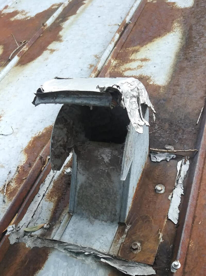 Family sitting on the floor with a dog, holding a board above their heads like a roof over their heads, simulating safe and protection.